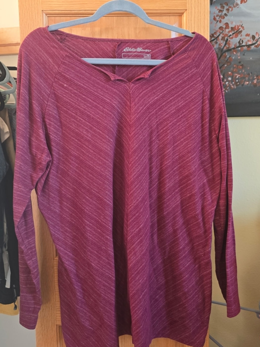 Eddie Bauer Women's Long-Sleeve Heathered Berry Top